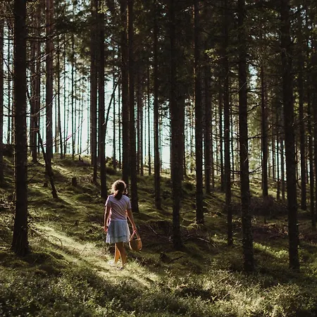 Medborod - A Unique * Халден