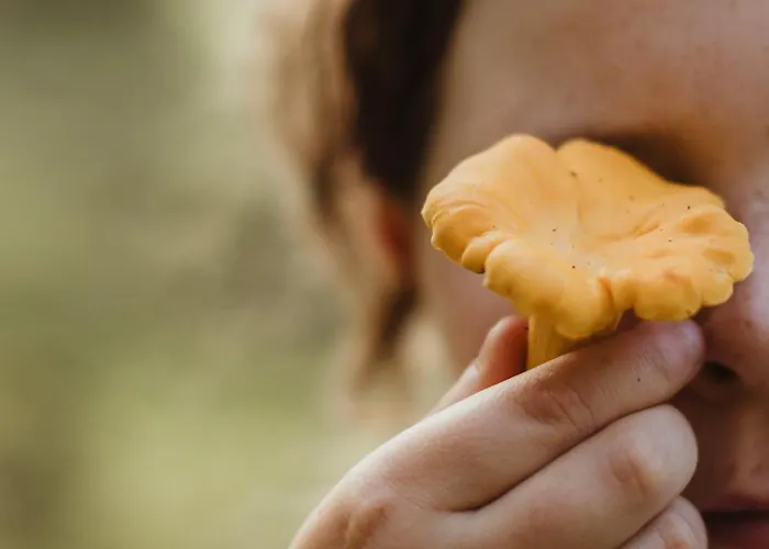 Holiday home Medborod - A Unique