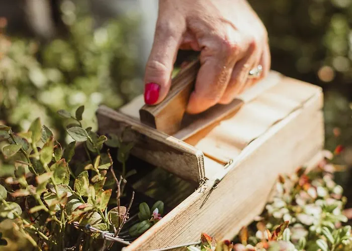 Medborod - A Unique *